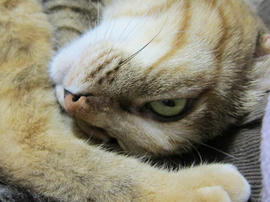 IMG04866.jpg