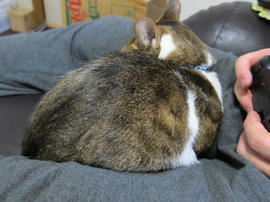 IMG04867.jpg