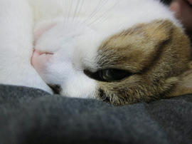 IMG04863.jpg