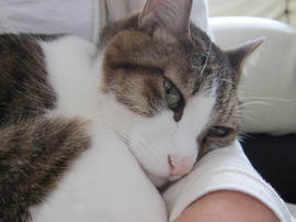 IMG04868.jpg