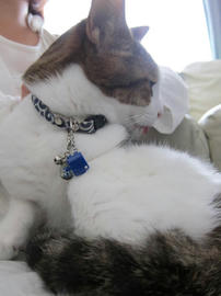 IMG04872.jpg