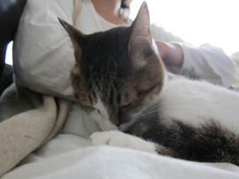 IMG04873.jpg