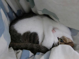 IMG04874.jpg