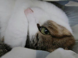 IMG04875.jpg