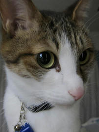 IMG04880.jpg