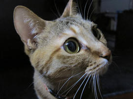 IMG04882.jpg