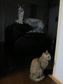 IMG04883.jpg