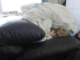 IMG04885.jpg