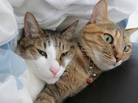 IMG04886.jpg