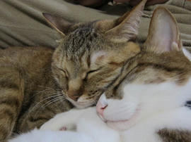 IMG04891.jpg