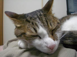 IMGP13590.jpg