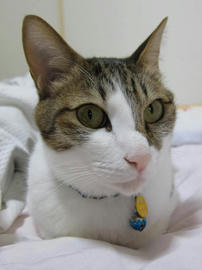 IMG01838.jpg