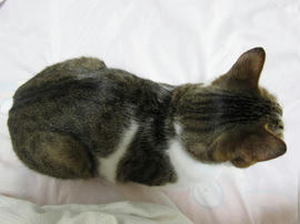 IMG01839.jpg