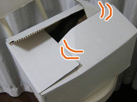 IMG04894.jpg