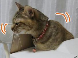 IMG04895.jpg