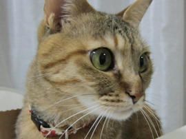 IMG04897.jpg