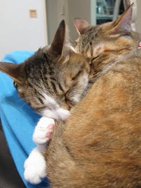 IMG01853.jpg
