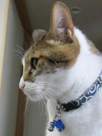 IMG04900.jpg