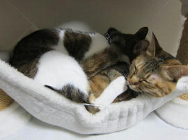 IMG04904.jpg
