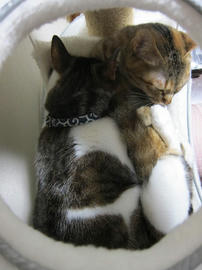 IMG04905.jpg