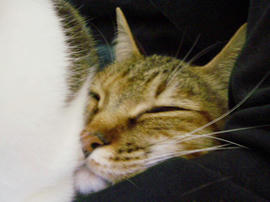 IMGP13612.jpg