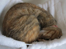 IMG04908.jpg