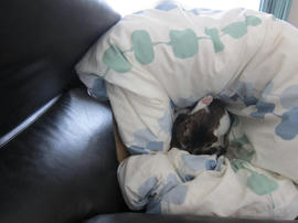IMG04910.jpg