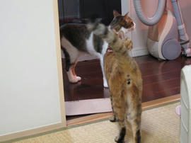 IMG01872.jpg