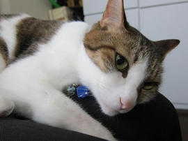 IMG04915.jpg