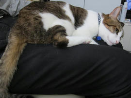 IMG04916.jpg