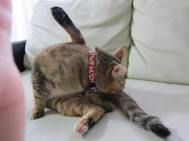 IMG04917.jpg