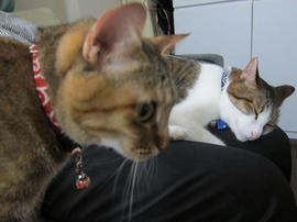 IMG04918.jpg