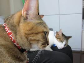 IMG04919.jpg
