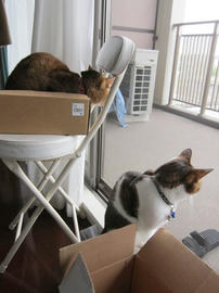 IMG04920.jpg