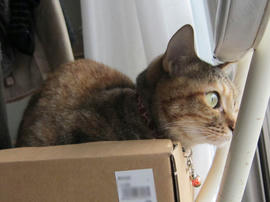 IMG04922.jpg