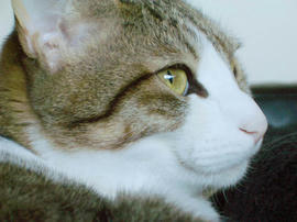 IMGP10970.jpg