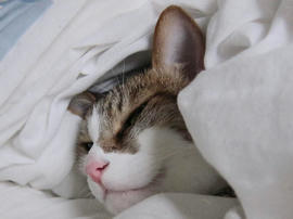 IMG04927.jpg