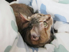 IMG04928.jpg