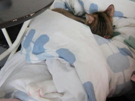 IMG04929.jpg