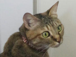 IMG04932.jpg