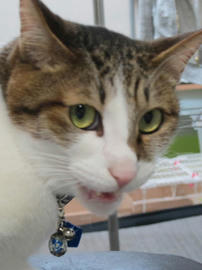 IMG04934.jpg