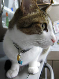 IMG01932.jpg