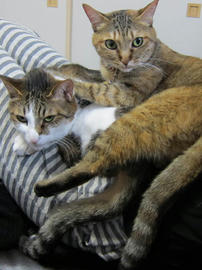IMG04946.jpg