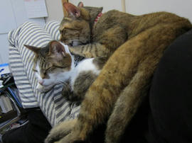 IMG04947.jpg
