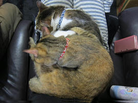 IMG04949.jpg