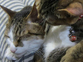 IMG04950.jpg