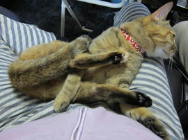 IMG04952.jpg