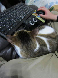 IMG04954.jpg