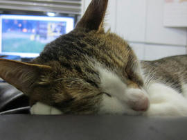 IMG04957.jpg