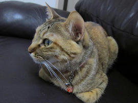 IMG04958.jpg